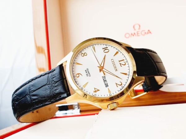 Đồng Hồ Nam Cao Cấp Citizen BF2003-25A